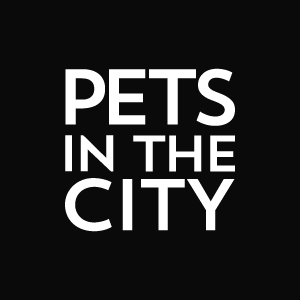 cybermonday Petsinthecity